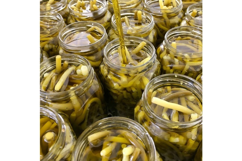 Germogli D'Aglio BIO Sott'olio EVO